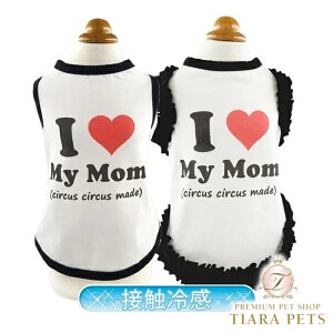 T[JXT[JX circus circus ?ԃ^N(CCW-0283)y^  gbvX ^Ngbvz