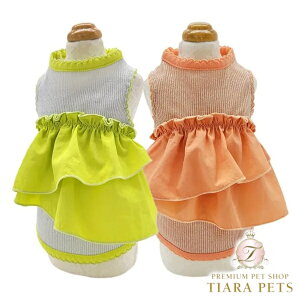 T[JXT[JX circus circus Sparkling Lucky ^N(CCW-0281)y^  gbvX ^Ngbvz