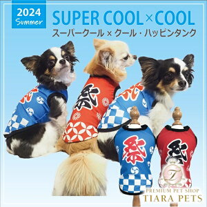 N[N`[ Coo Couture X[p[N[×N[Enbs^Nm12440ny^ gbvX ^N 앞z