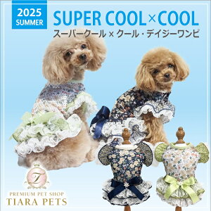 y0̂̓|Cg3{!!&eN[|s!!zN[N`[ Coo Couture X[p[N[×N[EfCW[sm12472ny^ p s[X hX 앞z