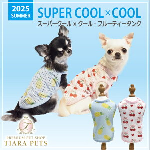 y0̂̓|Cg5{&eN[|s!!zN[N`[ Coo Couture X[p[N[×N[Et[eB[^Nm12470ny^ p s[X hX 앞z