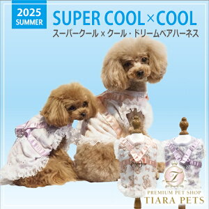 N[N`[ Coo Couture X[p[N[×N[Eh[xAn[lXm7320ny^ p n[lX 앞z