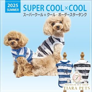 N[N`[ Coo Couture X[p[N[×N[E{[_[X^[^N m12480ny^  gbvX ^Ngbv 앞z