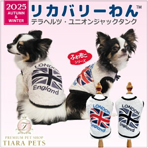 N[N`[ Coo Couture ewcEjIWbN^Nm12496ny^  gbvX ^Ngbv 앞z