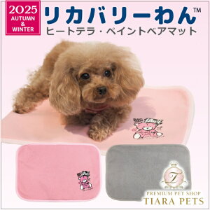 N[N`[ Coo Couture q[geEyCgxA}bgm7335ny^ p }bg 앞z