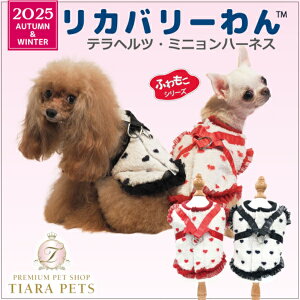 N[N`[ Coo Couture10{ח\聙ewcE~jn[lXm7330ny^ p n[lX ̌^ 앞z