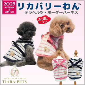 N[N`[ Coo Couture10{ח\聙ewcE{[_[n[lXm7332ny^ p n[lX ̌^ 앞z