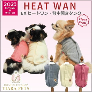 N[N`[ Coo Couture EX(GLXg)q[gEwJ^Nm12486ny^  gbvX ^Ngbv 앞z