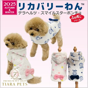 N[N`[ Coo Couture10{ח\聙ewcEX}CX^[|`m12487ny^  gbvX ^Ngbv 앞z