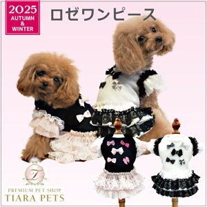 N[N`[ Coo Couture10{ח\聙[s[Xm12490ny^  s[X XJ[g hX 앞z