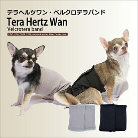 クークチュール Coo Couture テラヘルツワン・ベルクロテラバンド 男の子用[7220]【小型犬 ペット 腹巻 はらまき カジュアル】 送料無料