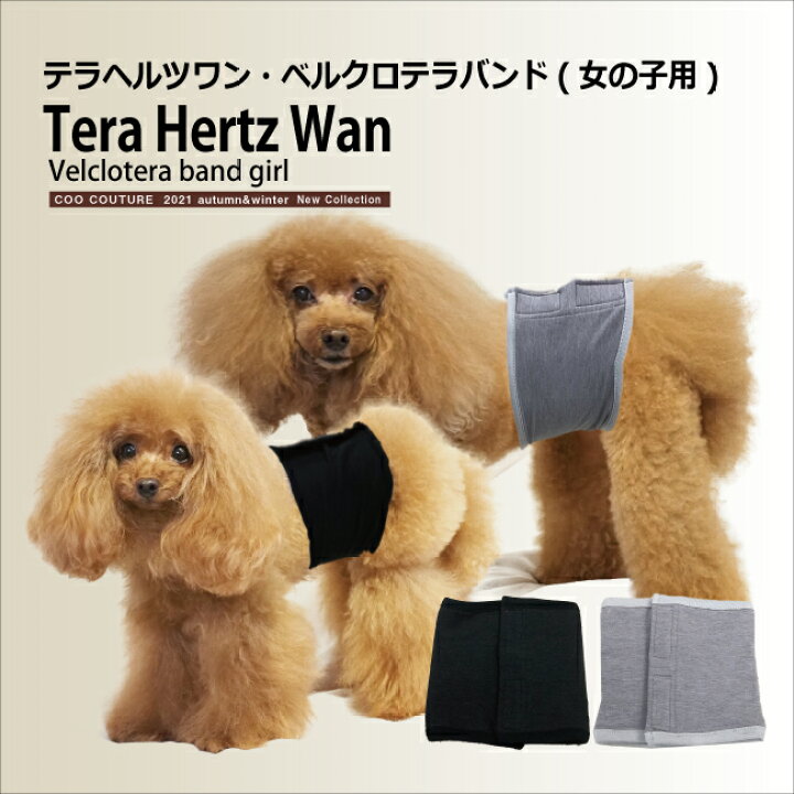 楽天市場 クークチュール Coo Couture テラヘルツワン ベルクロテラバンド女の子用 小型犬 ペット 腹巻 はらまき カジュアル 送料無料 Tiara Pets
