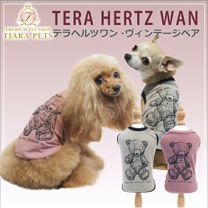 N[N`[ Coo Couture ewcEBe[WxA [12422]y^ EGA gbvX ^N 앞z