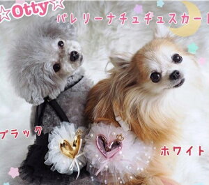 IbeB Otty o[i``XJ[g(n[g)y^  EGA s[X hX XJ[g Zuz 
