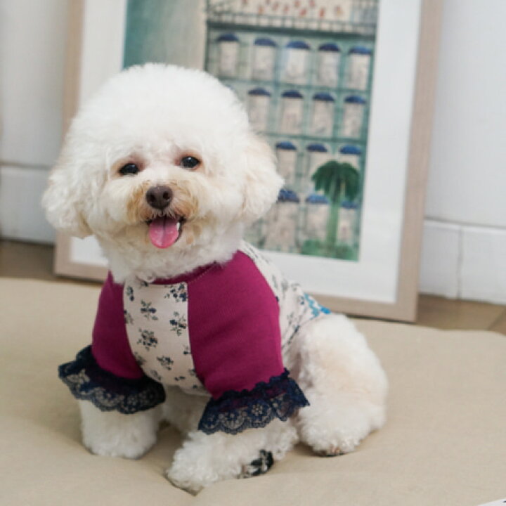 楽天市場】ルイスドッグ louisdog Funky Crop(Flower)【小型犬 犬服 ウエア トップス Tシャツ セレブ】 送料無料 : TIARA PETS 楽天市場】ルイスドッグ louisdog Funky Crop(Flower)【小型犬 犬服 ウエア トップス Tシャツ セレブ】 送料無料 : TIARA PETS