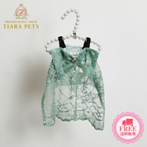 CXhbO louisdog Sage Green Crochet Dressy^  EGA XJ[g s[X hX Zuz 