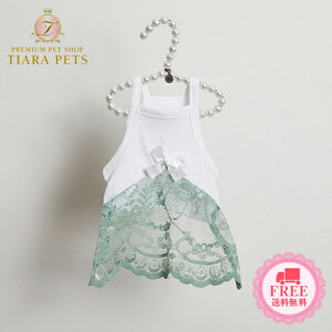 CXhbO louisdog Sage Green Crochet Sleevelessy^  EGA gbvX L~ Zuz 