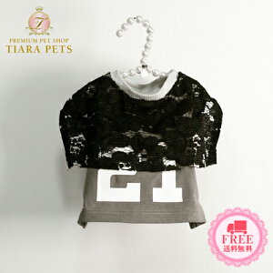 y5̂̓|Cg5{!!&eN[|s!!zCXhbO louisdog Sports Cape Topy^  EGA gbvX ^N Zuz 