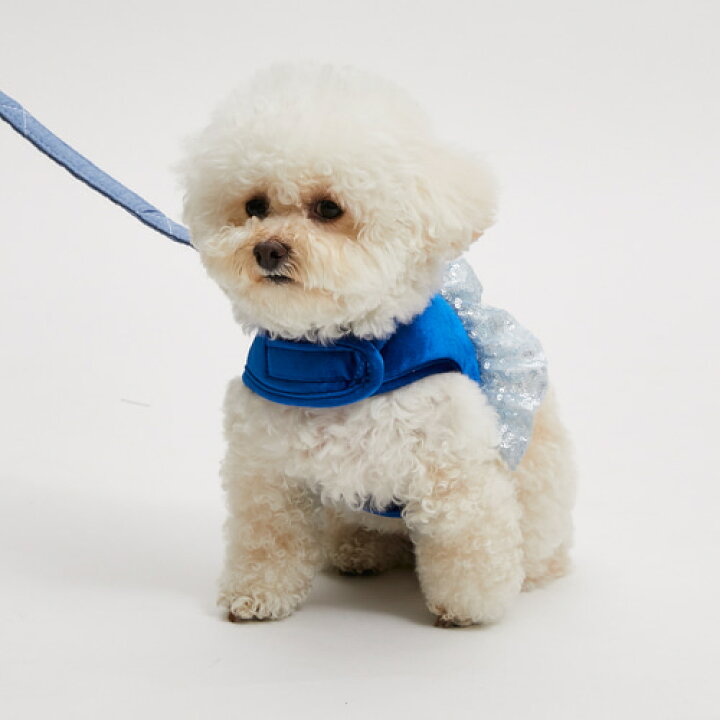 楽天市場】ルイスドッグ louisdog Velour Quilted Harness Set【小型犬 