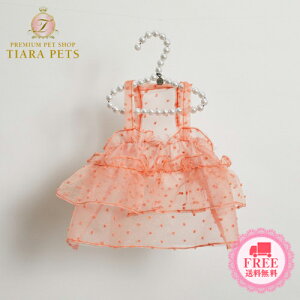 �y0�̂����̓|�C���g5�{!!&�e��N�[�|�����s��!!�z���C�X�h�b�O louisdog Coral Red Bustier�y���^�� ���� �E�G�A �g�b�v�X �r�X�`�F �L���~ �Z���u�z ��������