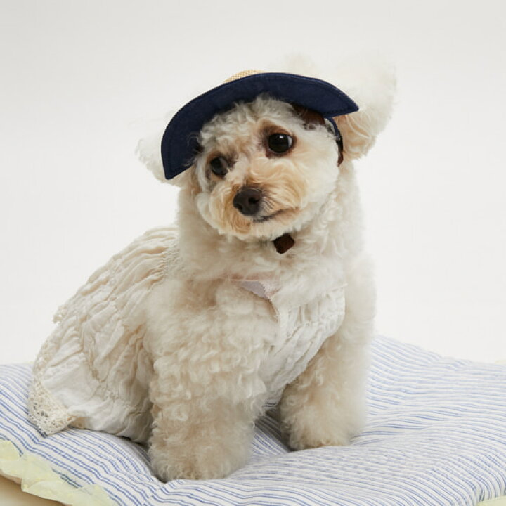 只今、休止中ですルイスドッグ・Louis dog ワンピース