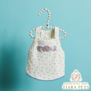 CXhbO louisdog Butter Blue TOPy^  gbvX ^Ngbv Zuz