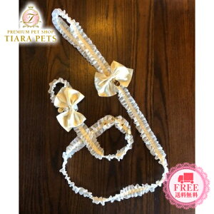 ~g^ minttan NEWt{ ̌^`[N[hy^ OWA[ [h Zuz 