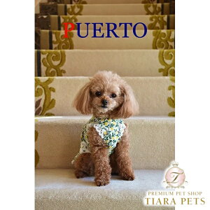 y5̂̓|Cg5{!!&eN[|s!!zvGg PUERTO USAK[fGvy^  EGA gbvX Gv Zuz