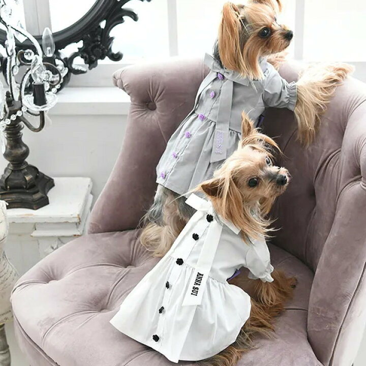 楽天市場】アナ スイ ANNA SUI リボンタイシャツワンピース【小型犬 犬 