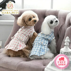 Ai XC ANNA SUI cC[hs[Xy^  EGA s[X hX Zuz 