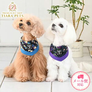 Ai XC ANNA SUI N[XJ[ty^ ANZT[ XJ[t o_i Zuz