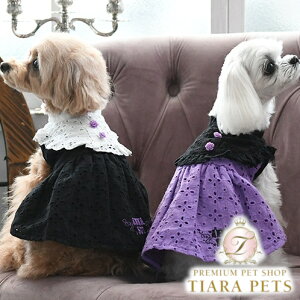 Ai XC ANNA SUI ACbgts[Xy^  s[X Zuz