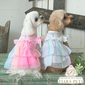 Ai XC ANNA SUI jR[`[sy^  s[X hX L~\[ Zuz