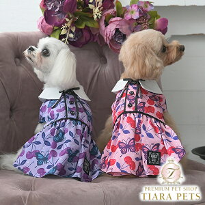 Ai XC ANNA SUI {^C`F[sy^  s[X hX L~\[ Zuz