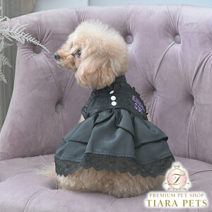 Ai XC ANNA SUI TehXy^  s[X hX XJ[g Zuz