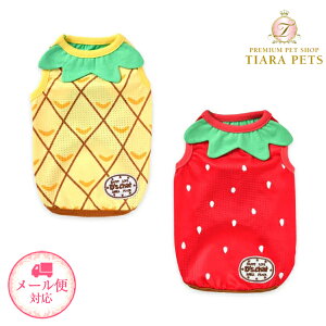 y111̓|Cg3{!!&eN[|s!!zfB[Y`bg D's CHAT Ȃ肫t[c^N(XS/S/M/L)y^  EGA gbvX ^N JWAz