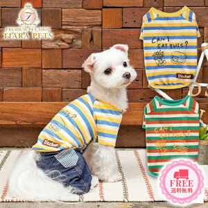 y111̓|Cg3{!!&eN[|s!!zfB[Y`bg D's CHAT }`J[TVc(OM/OL)y^E^  EGA gbvX TVc JWAz 