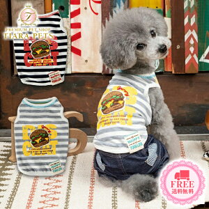 y1118|Cg2{!!zfB[Y`bg D's CHAT no[K[{[_[^N(M/L/DS/DM)y^  EGA gbvX ^N JWAz 