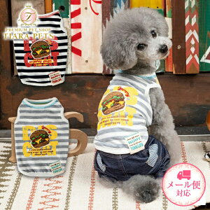 y111̓|Cg3{!!&eN[|s!!zfB[Y`bg D's CHAT no[K[{[_[^N(XS/S)y^  EGA gbvX ^N JWAz