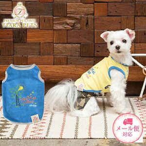 fB[Y`bg D's CHAT T}[hJpC^N(M/L/DS/DM)y^  EGA gbvX ^N JWAz