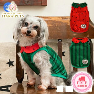 fB[Y`bg D's CHAT XCJݕtbV^N(XL/XXL/DL/FBM)y^  EGA gbvX ^N JWAz 