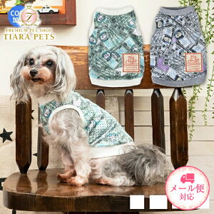 fB[Y`bg D's CHAT }l[bV^N(M/L/DS/DM)y^  EGA gbvX ^N JWAz