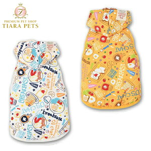 y1118|Cg2{!!zfB[Y`bg D's CHAT |bvAE^[(M/L/DS/DM)y ^ EGA AE^[ WPbg xXgz 