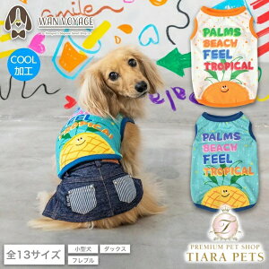 fB[Y`bg D's CHAT gsJbV^Ny ^ EGA gbvX ^N JWAz