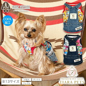 fB[Y`bg D's CHAT AR~C[h^Ny ^ EGA gbvX ^N JWAz