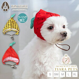 fB[Y`bg D's CHAT t[cN[OXqy ^ ^ hbOEFA Xqz