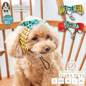 fB[Y`bg D's CHAT t[cN[Oohy ^ hbOEFA wAohz