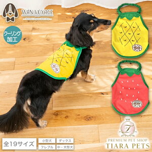 y1118|Cg2{!!zfB[Y`bg D's CHAT t[cN[OGvy ^ hbOEFA Gvz