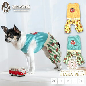 fB[Y`bg D's CHAT g}gXgCvȂy ^ hbOEFA Ȃ p[Xz