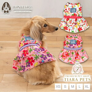 fB[Y`bg D's CHAT gsJVtHsy ^ hbOEFA s[Xz